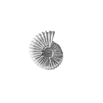Ammonite Lapel Pin/Tie Pin – Silver/Gold Vermeil Plated, 4 of 7