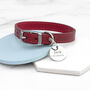 Personalised Classic Leather Dog Collar With Tag, thumbnail 5 of 12