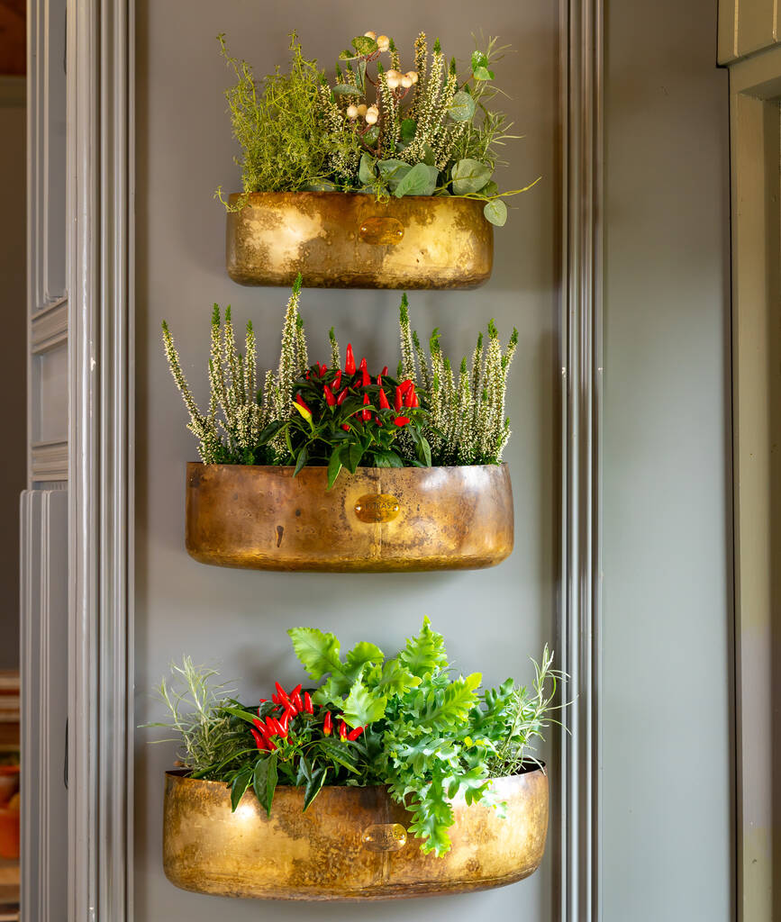 Cardamom Vintage Wall Planters Set Of Three By Foras