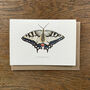 Illustrated Swallowtail Butterfly Card Blank Inside, thumbnail 1 of 6