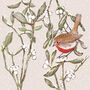 'Robin And Mistletoe' Print, thumbnail 3 of 3