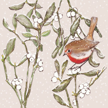 'Robin And Mistletoe' Print, 3 of 3
