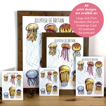 Jellyfish Of Britain Watercolour Postcard, 7 of 11