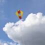 Signal Box Kite, thumbnail 3 of 5