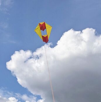 Signal Box Kite, 3 of 5