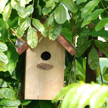Fsc Certified Pinewood Wooden Wren Bird House, 2 of 3