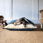 Charley Chau Snuggle Bed In Velour, thumbnail 2 of 10