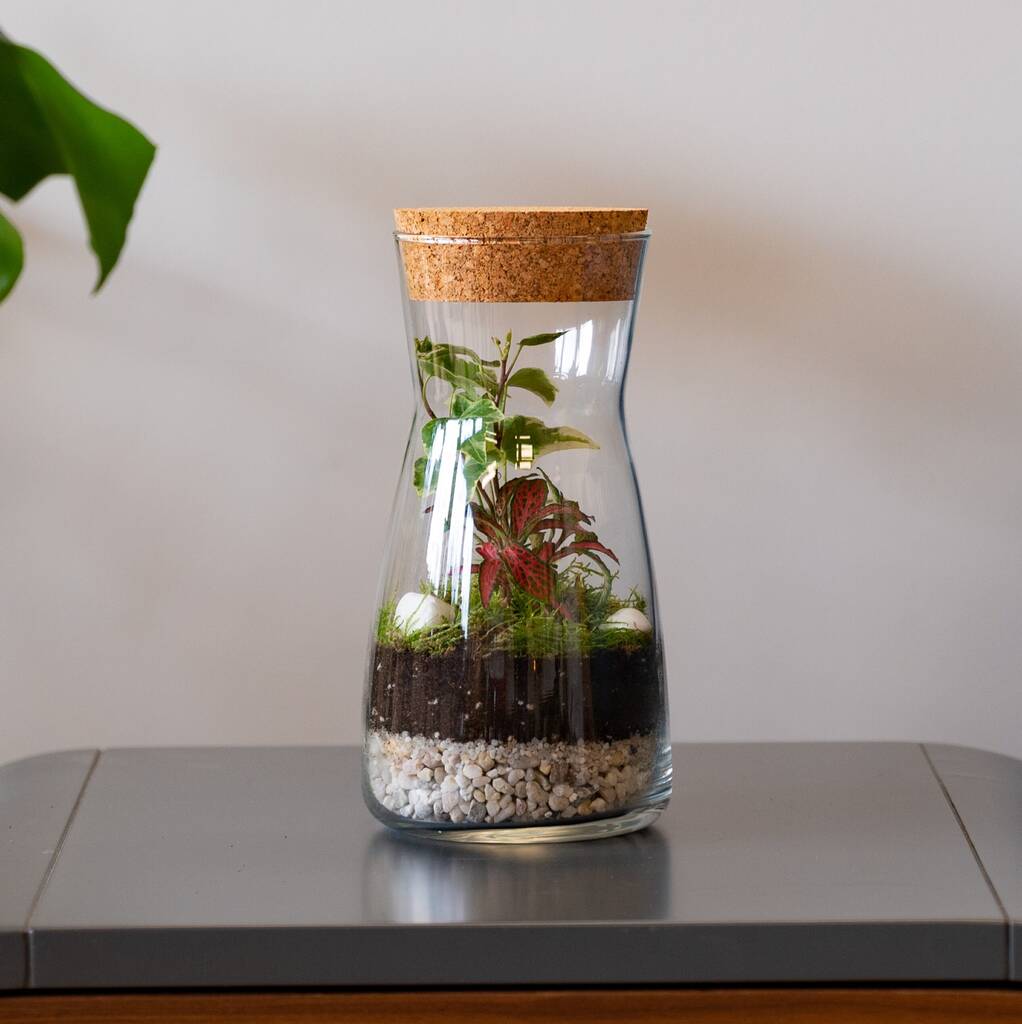 Terrarium Glass Containers Garneck Circular Terrarium Moss Jar Diy Micro Landscape Bottle For Room Decorate Glass Moss Plant Container Micro Landscape
