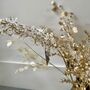 White And Gold Eremurus Spray, thumbnail 4 of 6