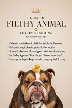 Prebiotic Grooming Spray For Dogs Odour Control, 2 of 3