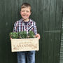 Personalised Mum's Indoor Planter Box, thumbnail 2 of 2