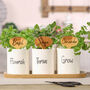 Ceramic Kitchen Herb Planters With Personalised Markers, thumbnail 3 of 7