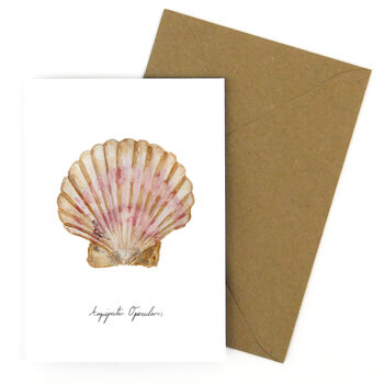 Scallop Shell A6 Greetings Cards, 7 of 7