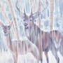 The Winter Monarchs, thumbnail 7 of 8