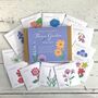 Flower Gardening Gift Seed Kit, thumbnail 1 of 6