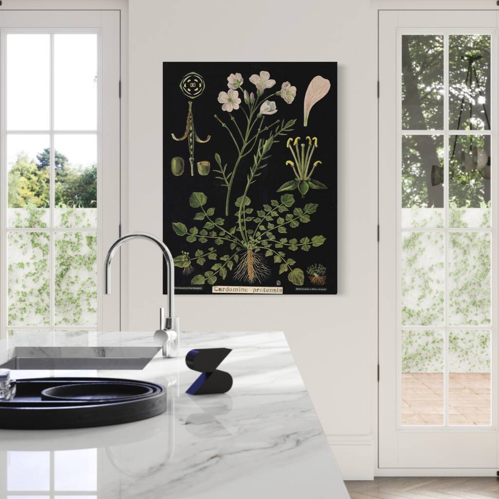 Cardamine, Canvas Wall Art, 1 of 7
