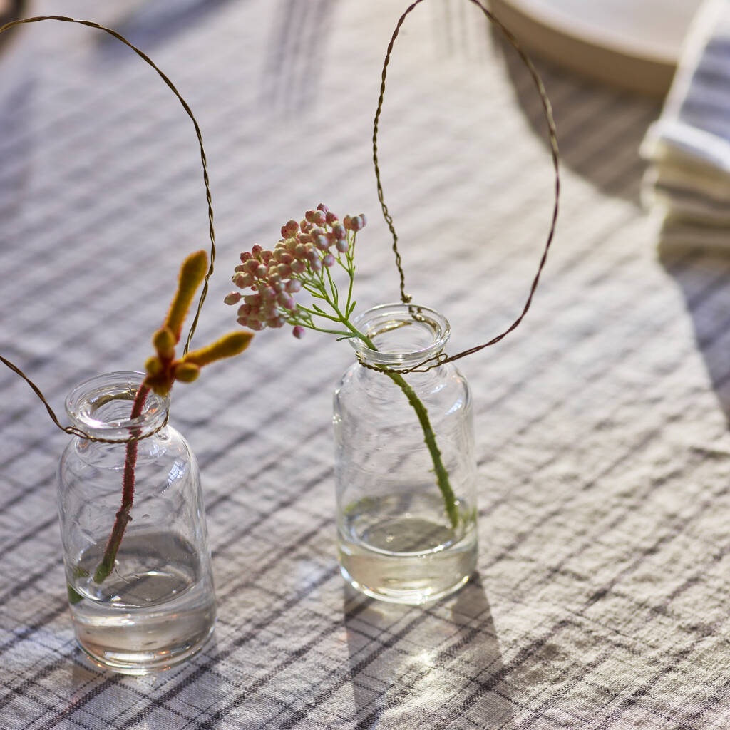 Hanging Bud Vase By Rowen & Wren