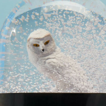 Owl Snowglobe, 2 of 3
