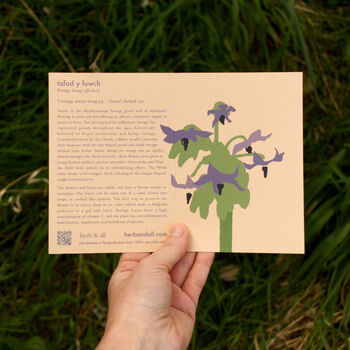 Botanical Greetings Card With Borage Seeds, 3 of 7