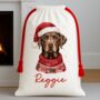 Personalised Chocolate Labrador Santa Sack, thumbnail 1 of 3