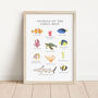 Animals Of The Coral Reef Art Print, thumbnail 1 of 2