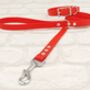 Waterproof Dog Collar And Lead Set Red, thumbnail 1 of 3