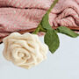 Felt Rose, thumbnail 3 of 5