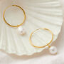 Large Gold Hoop Earrings With White Freshwater Pearls, thumbnail 3 of 6