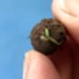 Christmas Bees Wildflower Seeds Secret Santa Gifts, thumbnail 7 of 9
