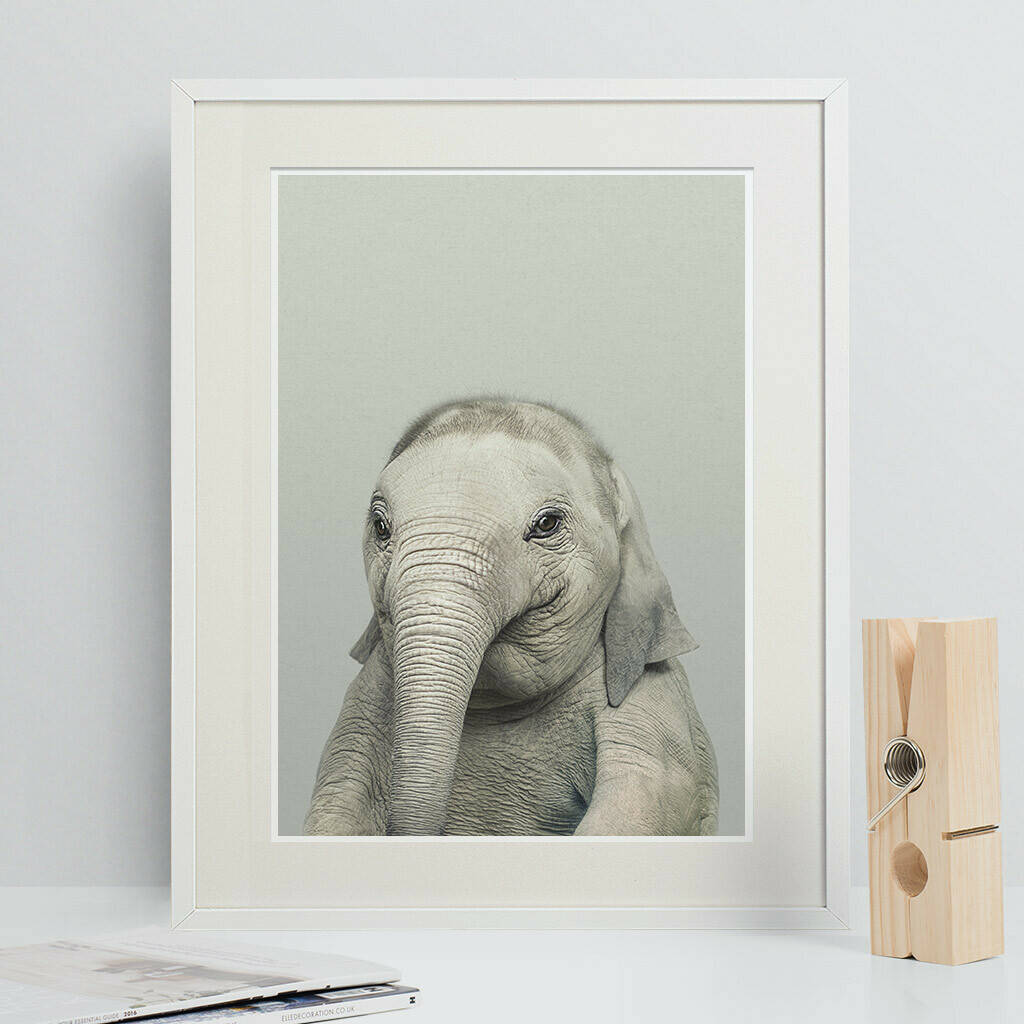 Nursery Decor Baby Elephant Animal Print
