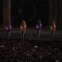 Purple And Orange Halloween Garden Stake Lights, thumbnail 2 of 2