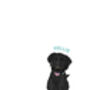 Miniature Pet Portrait, thumbnail 3 of 4