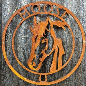 Personalised Metal Horse Stable Door Name Plate, 2 of 4