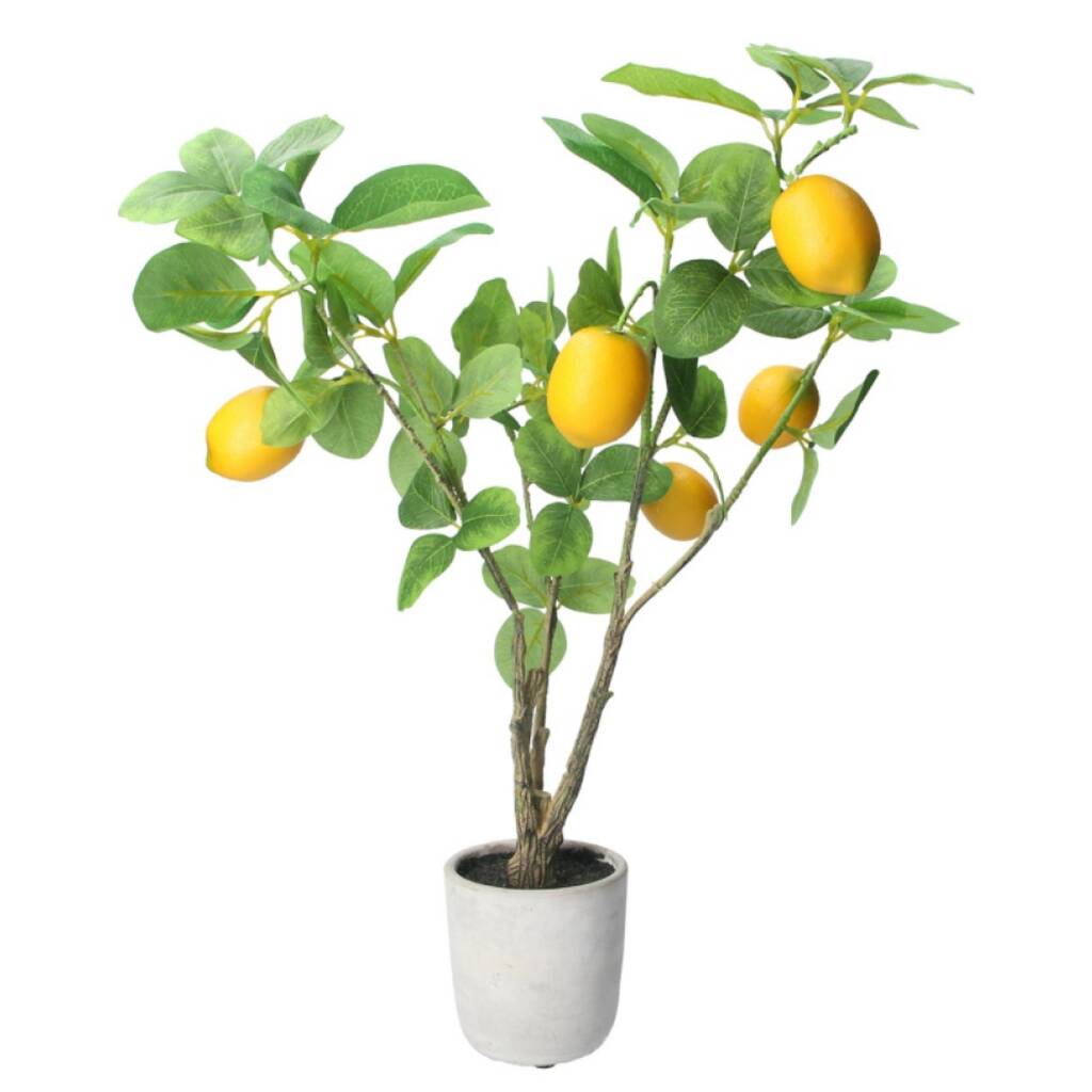 Faux Mediterranean Lemon Tree In A Pot By Bunting & Barrow