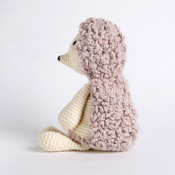 Maisie Hedgehog Crochet Amigurumi Kit, 3 of 8