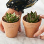 Couples Set Of Two Personalised Terracotta Plant Pots, thumbnail 4 of 5
