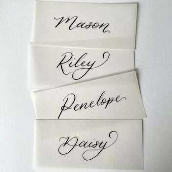Vellum Calligraphy Place Cards, 3 of 5