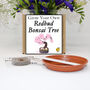 Gardening Gift. Grow Your Own Redbud Bonsai Tree, thumbnail 1 of 5