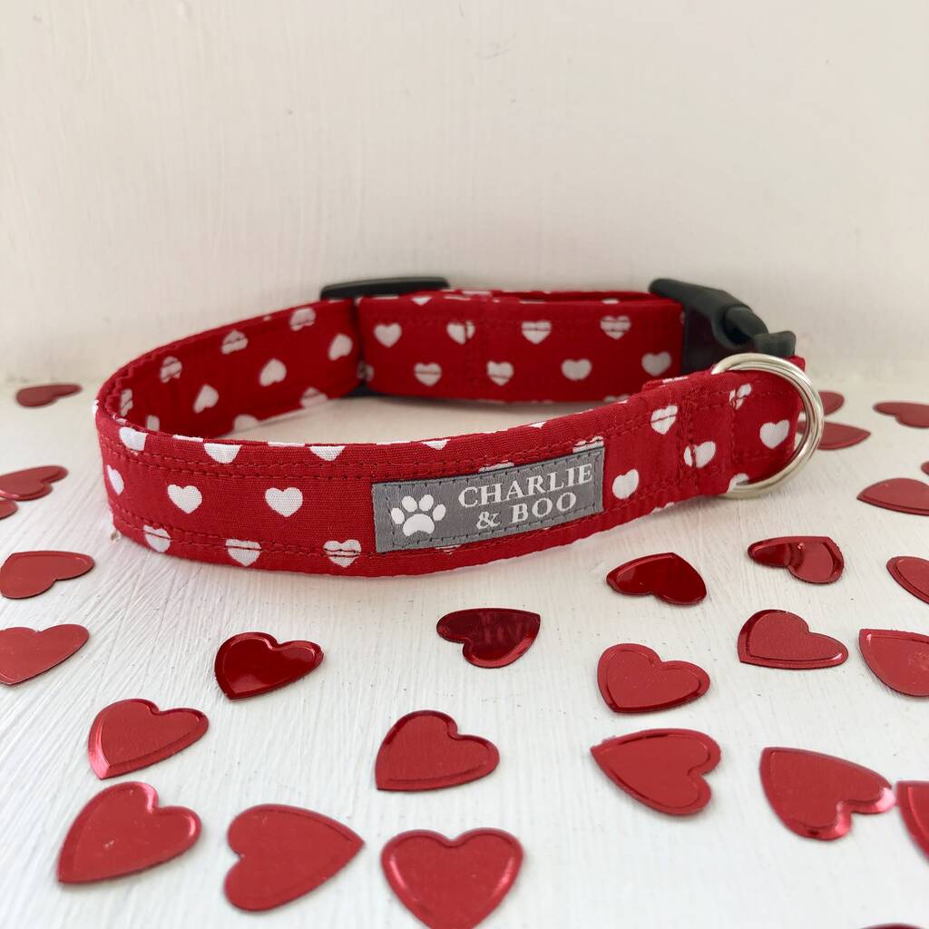 heart dog collar