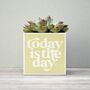 'Today Is The Day' Positivity Plant Pot And Houseplant, thumbnail 5 of 7