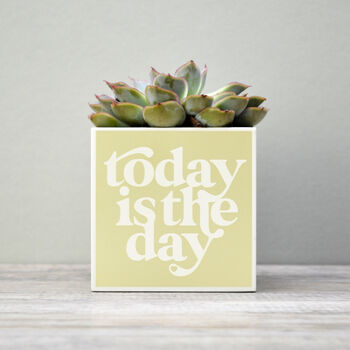 'Today Is The Day' Positivity Plant Pot And Houseplant, 5 of 7