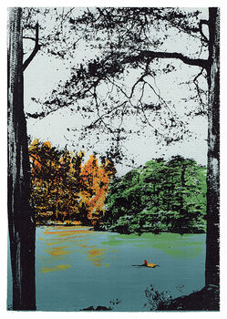 'Swim Free Swim Wild' Lake Original Silkscreen Print, 2 of 2