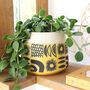 Large Ceramic Sunshine Planter, H15cm, thumbnail 1 of 6