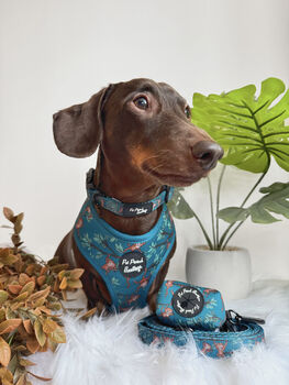 Cheeky Monkey Dog Harness With Optional Set, 6 of 8