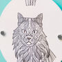 Personalised Fluffy Cat Wall Plaque, thumbnail 2 of 4