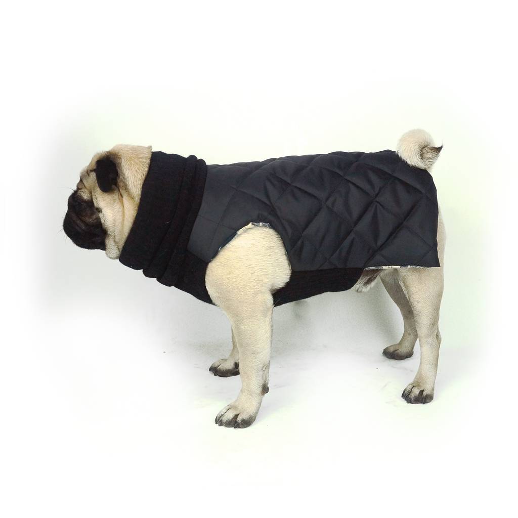 Waterproof Quilted Snood Dog Jacket By Grumble&Grumble ...