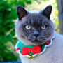 Hand Crocheted Christmas Cat Collar, thumbnail 1 of 3