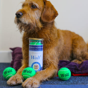 Personalised Dog Tennis Balls, 11 of 12