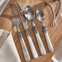Shackleton Four Piece Cutlery Set, thumbnail 1 of 4