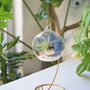 Diy Air Plant Terrarium Kit Hanging Terrarium Gift Blue Moss With Optional Gold Stand, thumbnail 1 of 7